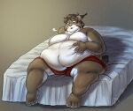  4_toes 5_fingers anthro bed brown_eyes brown_hair clothed clothing dipstick_ears dipstick_tail feet felid feline fingers fur furniture hair hand_on_own_belly holding_belly lynx male mammal markings multicolored_body multicolored_ears multicolored_fur obese obese_anthro obese_male overweight overweight_anthro overweight_male pink_nose solo tach_(tach0012) tail tail_markings toes tubbertons underwear 