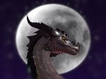  4:3 close-up depth_of_field dragon feral headshot_portrait light male moon moonlight portrait ranakanth ranakanth_(artist) second_life side_view solo star 