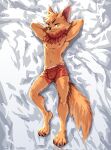  2023 anthro athletic athletic_anthro athletic_male bedroom_eyes bulge cheek_tuft claws clothed clothing digital_media_(artwork) digitigrade eyebrows facial_tuft feet fluffy fluffy_tail fur hair hands_behind_back hi_res kogi league_of_legends looking_at_viewer lying male narrowed_eyes neck_tuft on_back paws pinup pose riot_games seductive smile smirk solo suggestive tail teemo_the_yiffer topless tuft underwear underwear_only whiskers yordle 