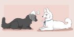  2023 ambiguous_gender bird_dog black_body black_fur black_nose blue_ribbon canid canine canis cody_(tsukune_minaga) cone_of_shame digital_media_(artwork) domestic_dog duo facing_each_other felicia_(tsukune_minaga) female_(lore) feral flat_coated_retriever fluffy fluffy_tail fur hi_res hunting_dog lying male_(lore) mammal medical_instrument on_front quadruped retriever scientific_instrument sigh tail tsukune_minaga white_body white_fur 