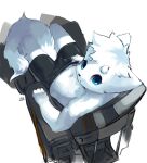  anthro arcticneu barely_visible_genitalia barely_visible_penis blue_eyes bottomwear bulge canid canine clothing fox genitals hair looking_back male mammal navel neu_(arcticneu) penis shirtless_male shorts sitting solo tail tight_bottomwear tight_clothing tight_shorts white_body young 