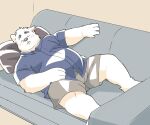  2023 anthro belly blush bottomwear canid canine canis clothing domestic_dog eyes_closed furniture hi_res humanoid_hands inunoshippo kemono lying male mammal overweight overweight_male pillow shirt shorts sofa solo topwear 