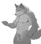  abs anthro balls biceps canid canine canis casual_nudity cuson deltoids flaccid genitals hi_res humanoid_genitalia humanoid_hands humanoid_penis male mammal manly muscular muscular_anthro muscular_male navel nipples nude pecs penis scar simple_background solo solo_focus standing tail wolf 
