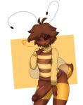  anthro arthropod bee clothing genitals girly hi_res humanoid hymenopteran insect looking_at_viewer magalnik male mazus_(tinysmallman) penis solo sweater tinysmallman topwear 