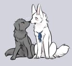  2023 ambiguous_gender bird_dog black_body black_fur blue_ribbon blush canid canine canis cody_(tsukune_minaga) digital_media_(artwork) domestic_dog duo felicia_(tsukune_minaga) female_(lore) feral flat_coated_retriever fluffy fluffy_tail fur hunting_dog looking_at_another male_(lore) mammal monotone_body nose_to_nose pink_inner_ear quadruped retriever sitting sitting_on_ground tail tsukune_minaga white_body white_fur 