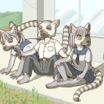  1:1 ambiguous_gender clothed clothing ekaki510 female group lemur male mammal primate ring-tailed_lemur school_uniform strepsirrhine sunbathing trio uniform 