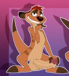  absurd_res anthro balls big_penis disney genitals hand_on_penis herpestid hi_res jerseydevil kneeling long_penis looking_at_viewer male mammal meerkat naughty_smile penis raised_tail smile solo spread_legs spreading tail the_lion_king timon 