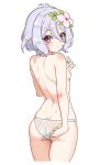  1girl antenna_hair ass back blush breasts cowboy_shot elf flower from_behind grey_hair hair_between_eyes hair_flower hair_ornament highres kokkoro_(princess_connect!) looking_at_viewer looking_back parabi pink_hair pointy_ears princess_connect! simple_background small_breasts solo topless underwear white_background 