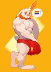  big_bulge bulge clothing doggonut generation_8_pokemon hi_res huge_bulge hyper hyper_bulge lgbt_pride male muscular muscular_male nintendo pokemon pokemon_(species) pride_colors rainbow_pride_colors scorbunny solo underwear 