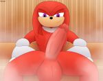  balls big_balls big_penis clothing digital_media_(artwork) echidna erection eulipotyphlan genitals gloves hair handwear hi_res huge_penis humanoid_genitalia humanoid_penis knuckles_the_echidna looking_at_viewer male mammal monotreme penis presenting sauna sega simple_background sitting smile smirk solo sonic_the_hedgehog_(series) steam varium 