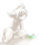  anthro barefoot bodily_fluids clothing crying drawing feet fluffy fluffy_tail hoodie kuttoyaki male mouth_closed narrowed_eyes partially_colored sad simple_background solo standing tail tears topwear 
