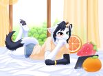  anthro bed black_body black_ears black_fur black_hair black_tail bracelet clothed clothing female fluffy_hinu fur furniture green_eyes hair heterochromia hi_res jewelry lying on_bed pawpads paws pillow rebiah_(fluffy_hinu) red_eyes solo tail white_body white_ears white_fur white_hair white_tail 