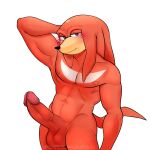  abs anthro balls big_penis blush genitals hi_res huge_penis knuckles_the_echidna looking_at_viewer male muscular muscular_male nipples nude paozinhochris penis sega solo sonic_the_hedgehog_(series) 