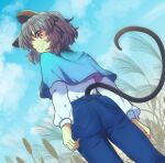  1girl animal_ears blue_capelet blue_pants blue_sky brown_eyes capelet closed_mouth cloud commentary_request denim grey_hair jeans long_sleeves looking_at_viewer mouse_ears mouse_girl mouse_tail nayozane_(worker7) nazrin outdoors pants shirt short_hair sky smile solo tail touhou white_shirt 