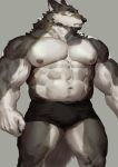  2023 abs anthro beard biceps big_arms big_biceps big_muscles big_pecs black_nose body_tuft bottomwear brown_body brown_fur brown_hair bulky canid canine canis claws clothed clothing detailed facial_hair fuguri fur goatee grey_background grey_body grey_fur hair head_tuft hi_res looking_aside male mammal multicolored_body multicolored_fur muscular muscular_legs muscular_thighs nipples pecs pose pupils serratus shorts simple_background slight_bulge slit_pupils solo standing tail topless tuft underwear vein veiny_muscles white_body white_fur wolf 