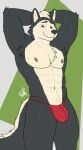  anthro canid canine canis clothed clothing delta_dewitt digital_media_(artwork) domestic_dog fur hair husky male mammal nipples nordic_sled_dog simple_background smile solo spitz underwear 