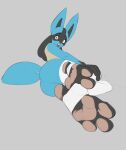  3_toes anthro big_feet butt clothing feet female foot_focus footwear generation_4_pokemon genitals hi_res humanoid humanoid_genitalia humanoid_pussy looking_at_viewer looking_back lucario nintendo pawpads paws pieebo pink_pawpads plantigrade pokemon pokemon_(species) pussy red_eyes socks soles solo stirrup_socks toes 