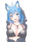  1girl ahoge alternate_costume animal_ear_piercing animal_ears bikini black_bikini blue_eyes blue_hair blush breasts breasts_apart commentary_request dog_ears dog_girl dog_tags earrings grey_hoodie highres hood hood_up hoodie jewelry large_breasts long_hair looking_at_viewer lovermoonlight medium_bangs nanashi_inc. open_clothes open_hoodie open_mouth round_teeth simple_background single_earring solo souya_ichika swimsuit teeth upper_body upper_teeth_only virtual_youtuber 