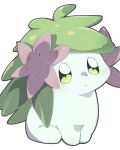  feral flower generation_4_pokemon green_body hi_res leaf legendary_pokemon looking_at_viewer nintendo plant pokemon pokemon_(species) shaymin simple_background sitting solo umixign white_background white_body 