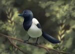  ambiguous_gender avian avian_feet beak bird black_body black_feathers blue_eyes blurred_background branch claws ezpups feathered_wings feathers feral full-length_portrait leaf portrait realistic realistic_wings solo tail_feathers toe_claws white_body white_feathers wings 