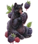 animal artist_name bear berry blackberry_(fruit) food fruit holding holding_food leaf no_humans open_mouth original raspberry simple_background sushiartstudio tongue tongue_out watermark white_background 