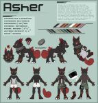  2023 absurd_res anthro asher_(data_resistance_squad) asher_(razim) bandai_namco blue_border boots border bottomwear boxers_(clothing) boxers_only camo camo_clothing camo_print canid cargo_shorts claws clothed clothing collar data_resistance_squad_scar digimon digimon_(species) facial_markings fan_character feral footwear fur game_console genitals grey_body grey_fur head_markings hi_res holster holy_ring intersex labramon mammal markings open_clothing open_shirt open_topwear orange_eyes pattern_clothing quadruped red_body red_fur red_nose reference_image reference_to_character references shirt shorts starwolfskin steam_deck superabsurd_res tail topless topwear underwear underwear_only wristband 
