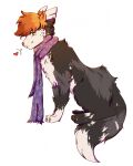  &lt;3 feral fur green_eyes grey_body grey_fur hair hi_res lionfloof looking_at_viewer male orange_hair purple_scarf scarf short_hair side_view simple_background sitting smile solo white_background white_body white_fur 