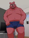  2023 absurd_res anthro balls_outline bear beard belly blush bodily_fluids bulge clothed clothing erection erection_under_clothing eyewear facial_hair genital_fluids genital_outline glasses hi_res kemono kick_(artist) male mammal moobs navel nipples overweight overweight_male penis_outline precum solo television underwear 