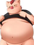  2023 absurd_res anthro belly big_belly blush clothed clothing clothing_lift domestic_pig eyewear glasses hi_res humanoid_hands kemono male mammal moobs navel overweight overweight_male shirt shirt_lift simple_background solo suid suina sus_(pig) topwear trail_arnak white_background 