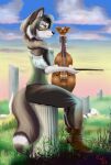  anthro boots bottomwear bowed_string_instrument braided_hair brown_body brown_fur canid canine canis clothing female footwear fur grass hair half-closed_eyes mammal marble medieval medieval_clothing musical_instrument narrowed_eyes pants plant solo string_instrument violin violin_bow white_body white_fur wolf zephyriwolf 