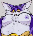  anthro belly big_belly big_the_cat blush bodily_fluids cricketkisses freshly_uprooted fur hi_res looking_at_viewer male moobs nipples open_mouth pecs purple_body purple_fur sega solo sonic_the_hedgehog_(series) sweat sweatdrop worried_look yellow_eyes 