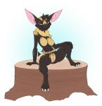  3_toes anathi anthro areola bat bat_ears bedroom_eyes belt black_body black_fur breasts brown_eyes claws exposed_breasts feet female fur genitals halbean half-closed_eyes hi_res long_ears looking_at_viewer mammal markings multicolored_body multicolored_fur narrowed_eyes neck_floof nipples nude pouch_(clothing) pussy rope rope_belt seductive short_tail simple_background sitting smile smiling_at_viewer solo spread_legs spreading tail toe_claws toes tree_stump wingless_bat yellow_markings 