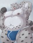  2023 absurd_res anthro belly big_belly bulge clothing felid grey_body hi_res kemono male mammal moobs nanntaro navel nipples overweight overweight_male pantherine snow_leopard solo underwear 
