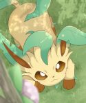  ambiguous_gender brown_sclera detailed_background eeveelution feral fur generation_4_pokemon grass green_body hi_res high-angle_view leafeon nintendo plant pokemon pokemon_(species) quadruped rumine solo tan_body tan_fur white_eyes 