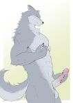 abs anthro balls blush bodily_fluids canid canine canis erection fur genital_fluids genitals hi_res humanoid_genitalia humanoid_hands humanoid_penis ioenami88 male mammal muscular muscular_anthro muscular_male nipples nude pecs penis simple_background solo wolf 