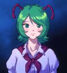  1girl antennae blue_eyes blue_pupils breast_pocket buttons closed_mouth collarbone collared_shirt dress_shirt grey_hair hair_between_eyes highres looking_at_viewer parted_lips pink_lips pocket puffy_sleeves purple_shirt shirt short_hair smile solo straight-on touhou wriggle_nightbug zawabug 