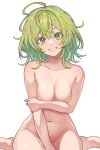  1girl absurdres barefoot boku_no_hero_academia breast_hold breasts commentary_request completely_nude convenient_arm green_eyes green_hair grin hagakure_tooru highres kobaji looking_at_viewer medium_breasts messy_hair navel nude smile solo unusually_visible white_background 