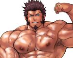  1boy abs alternate_muscle_size alternate_skin_color armpit_hair bara biceps blue_eyes brown_hair commission cross_scar facial_hair fate/grand_order fate_(series) flexing goatee large_pectorals long_sideburns looking_at_viewer male_focus mature_male muscular muscular_male napoleon_bonaparte_(fate) nipples nude oiled pectorals scar scar_on_chest seductive_smile short_hair sideburns skeb_commission smile solo strongman_waist terujirou_(masateruteru) thick_eyebrows upper_body veins veiny_arms white_background 