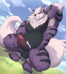  absurd_res anthro arcanine armpit_hair balls big_muscles big_tail black_body black_fur blue_eyes body_hair canid claws crouching cute_fangs erection fluffy fluffy_tail front_view fur generation_1_pokemon genitals hair hi_res humanoid_genitalia humanoid_penis looking_at_viewer male mammal musclegut muscular muscular_anthro muscular_male nintendo nude penis pokemon pokemon_(species) purple_body purple_fur smile solard0gg0 solo tail toe_claws white_hair 