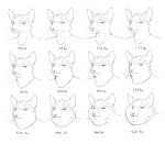  2022 anthro bust_portrait cettus chubby_cheeks clothed clothing domestic_cat felid feline felis hair hairless hairless_cat hakon_brandvold hi_res male mammal morbidly_obese morbidly_obese_anthro morbidly_obese_male multiple_images obese obese_anthro obese_male overweight overweight_anthro overweight_male peterbald portrait sequence shirt sketch slightly_chubby slightly_chubby_anthro slightly_chubby_male topwear weight_gain 