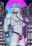  absurd_res anthro biceps blue_body blue_fur brand_new_animal bulge canid canine canis city cityscape clothed clothing collar detailed_bulge digital_media_(artwork) fur gloves good_boy hair handwear hi_res jockstrap jockstrap_only leash leashed_collar looking_at_viewer male mammal muscular muscular_anthro muscular_male neon_lights nipples pecs pinup pistacho pose shirou_ogami simple_background solo studio_trigger tail topless underwear underwear_only wolf 