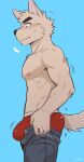  5_fingers absurd_res anthro areola blue_background blush blush_lines bottomwear bulge canid canine clothing eyebrows fingers fur haita_(luwei) hi_res kemono luwei_(artist) male mammal meme nipples pants red_clothing red_underwear simple_background solo tail tight_pants_(meme) underwear 