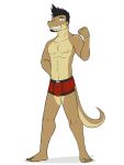  anthro beard boxer_briefs boxer_briefs_only bulge clothed clothing facial_hair full-length_portrait fuze gecko hi_res lizard male nadafacio navel nipples portrait reptile scalie simple_background solo topless underwear underwear_only white_background 