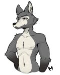  anthro black_nose canid canine canis fur grey_body grey_fur low_res male mamal mammal nipples simple_background solo white_background wolf 
