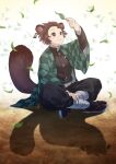  1boy animal_ears artist_name black_pants brown_hair checkered_haori demon_slayer_uniform earrings forehead hanafuda_earrings haori highres japanese_clothes jewelry kamado_tanjirou kimetsu_no_yaiba leaf long_sleeves male_focus pants raccoon_boy raccoon_ears raccoon_tail red_eyes remsor076 short_hair solo tail twitter_username 