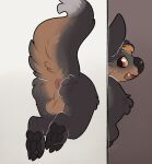  absurd_res anthro anus balls butt fur genitals hair hi_res kaiizree korwin male mammal nude open_mouth paws simple_background solo stuck tail through_wall 