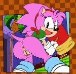  2023 absurd_res amy_rose anthro anus bottomless butt classic_amy_rose classic_sonic_(universe) clothed clothing collaboration eulipotyphlan female genitals hair hammer hedgehog hi_res holding_hammer holding_object holding_tool looking_at_viewer looking_back looking_back_at_viewer mammal multicolored_body ninoeros open_mouth open_smile pink_body pink_hair pussy sega smile smiling_at_viewer solo sonic_the_hedgehog_(series) sr tan_body tools two_tone_body 