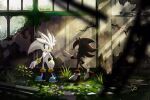  2boys black_fur brown_eyes commentary_request day gloves grey_fur highres iyo_(1eavethebus) male_focus multicolored_fur multiple_boys outdoors red_eyes red_fur shadow_the_hedgehog silver_the_hedgehog white_gloves 