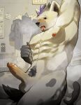  2023 5_fingers abs anthro areola arknights balls blush bodily_fluids ear_piercing erection fingers fur genital_fluids genitals grey_background grey_body grey_fur hair hi_res humanoid_genitalia humanoid_penis hyena hypergryph inside male mammal muscular muscular_anthro muscular_male nude penis piercing pluto08010511 pu94_d1de4c pubes simple_background sitting solo spot_(arknights) spots spotted_body spotted_fur spotted_hyena studio_montagne tail 