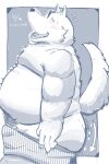  2023 anthro belly big_belly blush bulge butt canid canine canis dain_4201 domestic_dog hi_res japanese_text kemono male mammal moobs nipples overweight overweight_male simple_background solo text 